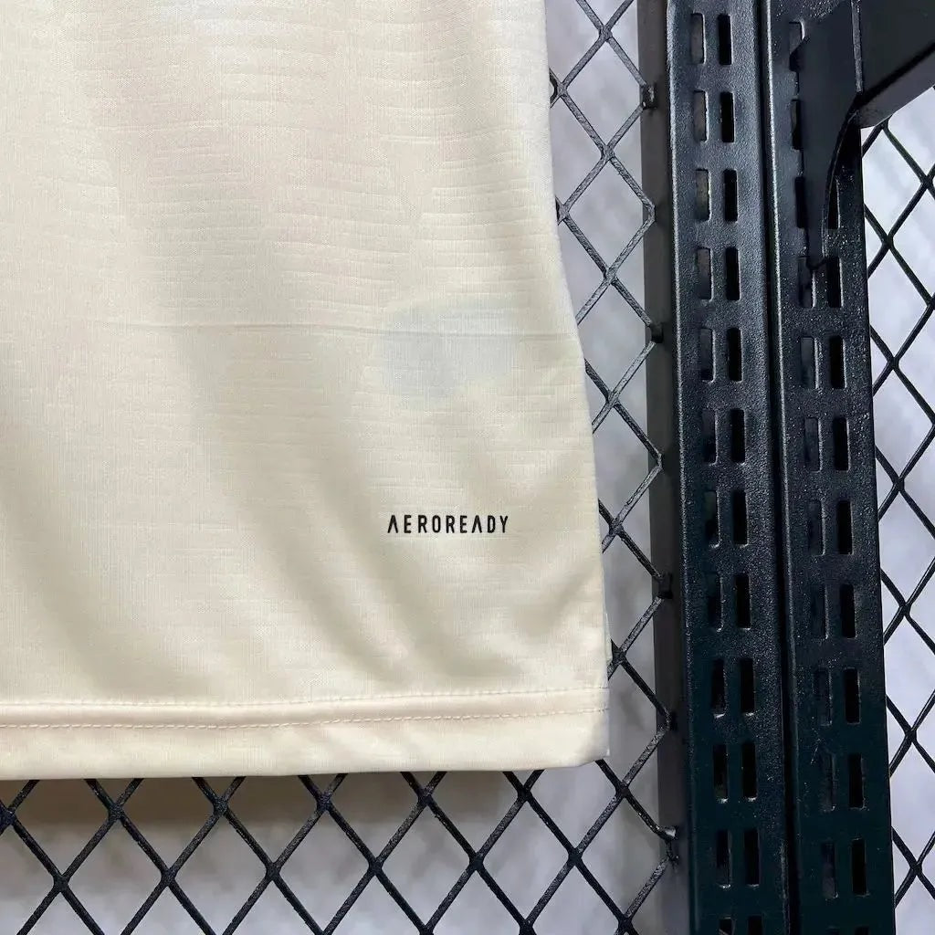 Away 24/25 Men's Shirt