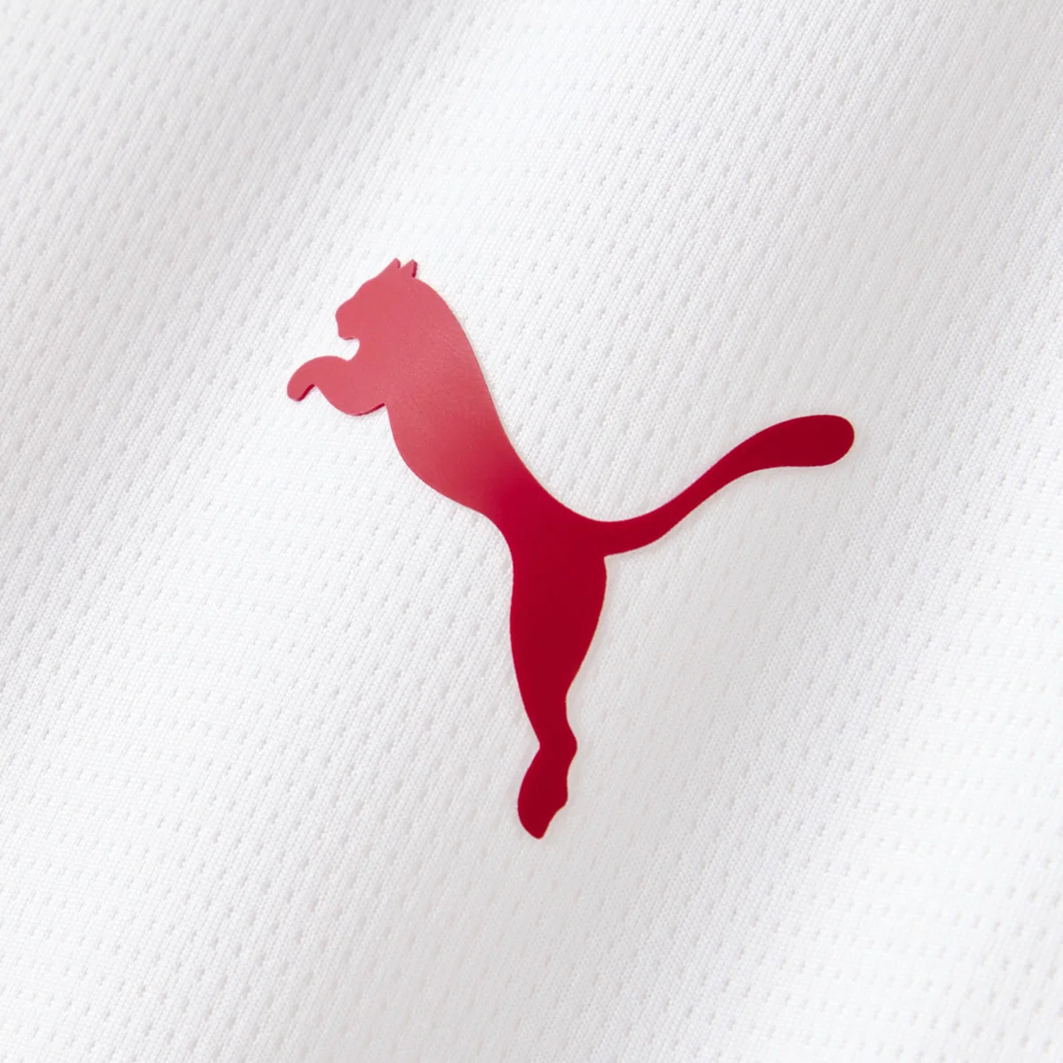 Away 26/27 Men's Shirt