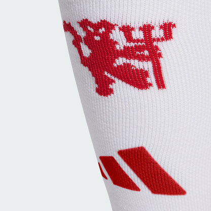 Home 24/25 Socks